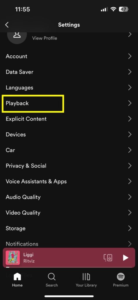 spotify playback settings ios